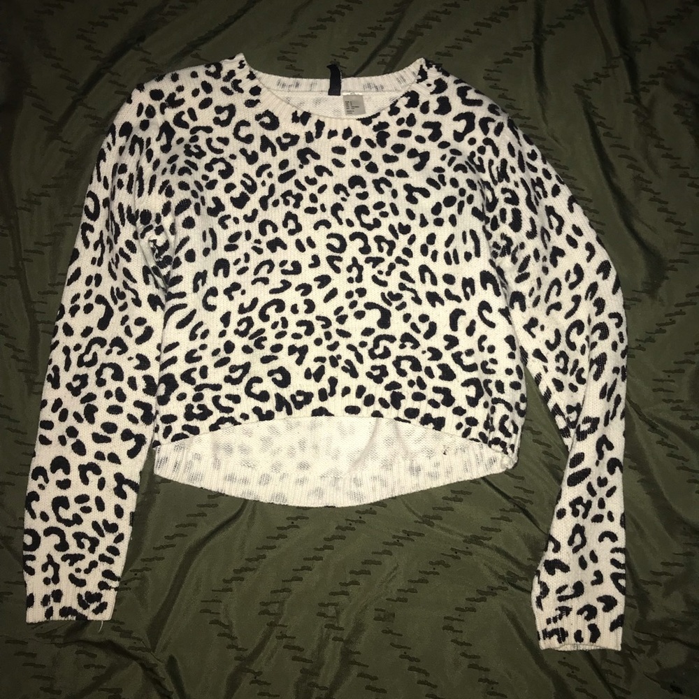 Crop Cheetah Sweater